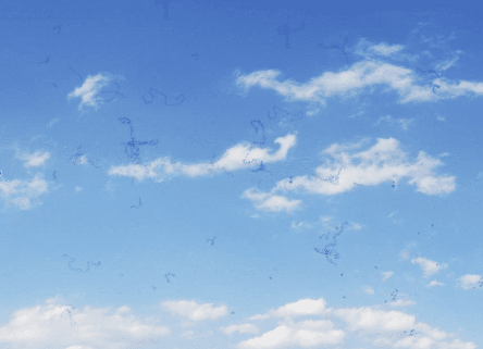 飛蚊症症状イメージ